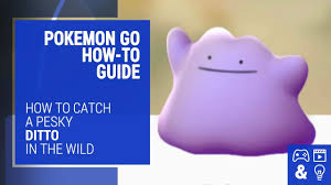 pokemon go ditto list how to catch a ditto and all pokemon