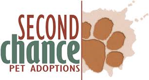 Whether you hope to adopt a baby in durham or give a baby up for adoption in durham, finding resources local to the city after that's complete, you can begin contacting international adoption agencies in durham that complete adoptions in those areas Pets For Adoption At Second Chance Pet Adoptions Adoption Center In Raleigh Nc Petfinder