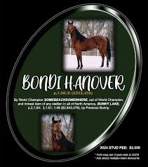 Bondi Hanover – Snow Ridge Farm