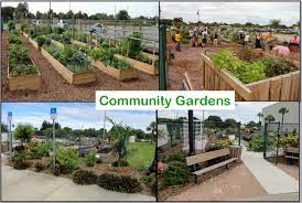 A community gardenis any piece of land where plants are grown and maintained by a group of individuals from the community. Wikitel Licensed For Non Commercial Use Only Community Garden