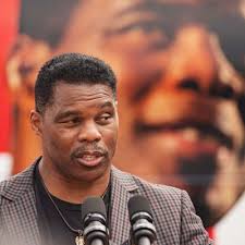 Do Debates Really Matter in Senate Races?