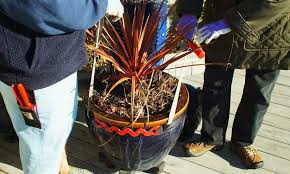 How to lift heavy garden pots. Tuesday Tool Tips For Container Maintenance West Seattle Garden Tour