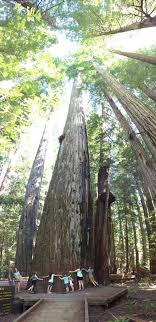 Maybe you would like to learn more about one of these? Purwosandu Center Bacaan Tawasul Yang Benar Dan Lengkap Bacaan Tawasul Adalah Bacaan Yang Di Hadiahkan Untuk Junjungan Kita Nabi Muhammad S A W Yang Bertujuan Untuk Mendoakan Menghadiahkan Bacaan Ini Buat Saudara Saudara