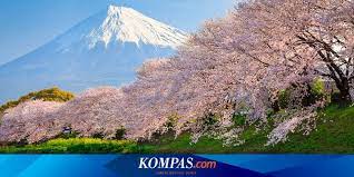 Game berpakaian online gratis | girlsgogames.co.id. Bunga Sakura Di Jepang Mekar Secara Mengejutkan Di Musim Gugur