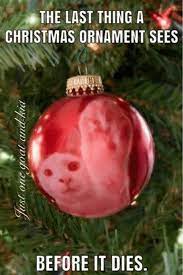 55 Jolly Christmas Memes To Celebrate The Holiday Inspirationfeed