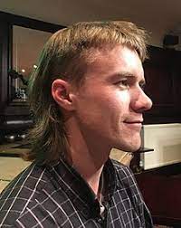20+ best middle part hairstyles for men 50+ best short hairstyles & haircuts for men 10 pompadour haircut & hairstyles for men. Mullet Haircut Wikipedia
