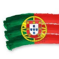 Learn European Portuguese With A Native Speaker From Porto Portugal Please Follow Us On Google O Portuguese Flag Learn Portuguese Learn Brazilian Portuguese
