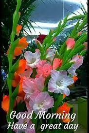 Pin By S R Mehta On Suprabhat Beautiful Flowers Gladiolus Flower Flower Painting