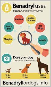How To Choose The Right Dog Crates For Your Dog Dog Treats Ideas Dog Benadryl Benadryl For Dogs Dosage Dog Remedies