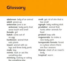 How to arrange your list of references in alphabetical order. Glossary Index The Falcon Find