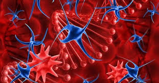 A white or reddish patch on the inside of your mouth. What Is Blood Cancer Know Causes Symptoms Prevention