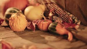 Check spelling or type a new query. Thanksgiving Day Wallpapers Thanksgiving Day Stock Photos