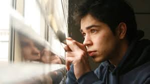 DIEGO Y SEBASTIAN : Streaming VOD en location