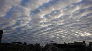 The site owner hides the web page description. åœ°éœ‡é›²