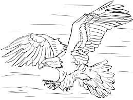 So grab your favorite drawing tool and grab a pack of printable coloring pages. Bald Eagle 2 Coloring Page Free Printable Coloring Pages For Kids