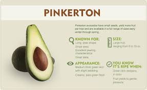 Pin On Gardening