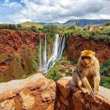 Morocco Travel - Ouzoud Falls, Azilal , Morocco 🇲🇦 Ouzoud... | Facebook