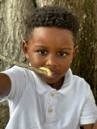 Sunrise Education Campus added...