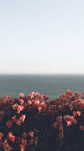 Deniz Manzara Denizmanzarasi Cicek Duvarkagidi Love Gokyuzu Tumblr Hos Sik In 2020 Floral Wallpaper Flower Phone Wallpaper Flower Wallpaper