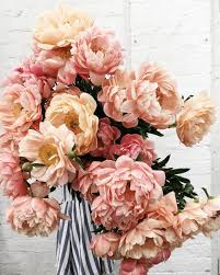 Modern Whimsical Party Ideas Ideas Modern Party Whimsical Beautiful Flowers Coral Charm Peony Birthday Flowers
