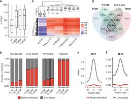 The camel igg presented as two bands with molecular masses of 250 and 100 kda, the latter corresponding to heavy chain igg, on 10% gel electrophoresis. Recent Evolution Of A Tet Controlled And Dppa3 Stella Driven Pathway Of Passive Dna Demethylation In Mammals Nature Communications