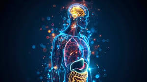 Image result for tbn:Iab6-YnX2CWLrM::www.healthy-