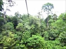 A massive bridge suspended high over the beautiful mountains of langkawi, malaysia over looking the ocean and greenery that goes further then the eye can see. Skytrex Adventure Shah Alam Destimap Destinations On Map