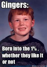 30 Ginger Memes That Are Way Too Witty Sayingimages Com Ginger Jokes Ginger Humor Ginger Facts