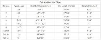 Cricket Bats Online India Store Best Quality And Prices