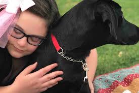 Fundraiser for Sandy Sandberg by Rachel Gloger : Autism Service Dog for Ruby