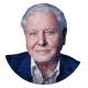 Best Free David Attenborough AI Voice for Narration