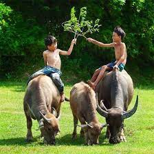 صور اطفال صور اطفال جميله بنات و أولاد اجمل صوراطفال فى العالم Village Kids Kids Around The World Animals