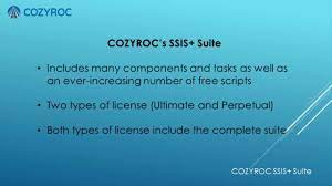 COZYROC Licensing Model Explained - COZYROC licensing Videos - YouTube