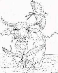 Kumpulan sketsa gambar air api dan udara sketsabaru. Pin Di Color Animals