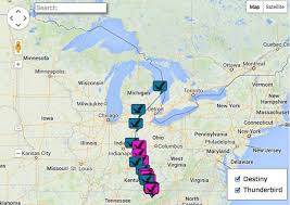 bald eagle migration american eagle foundation