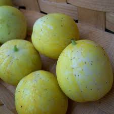 Image result for Cucumis