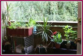 We have a vision of sharing our love of teas and providing an upscale comfortable environment where you can bring your friends, family, and loved ones to gather and socialize. Methods For Knowing The Proper Garden Nutrients Simple Garden Ideas Patio Garden Design Apartment Garden Small Balcony Garden