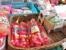 青森駅近くの「活彩市場ぴあ」内で懐かしの「りんご飴」を購入し駅横のラビナでは  「南部せんべい巖手屋（いわてや）」にて南部せんべいソフトクリームをキメてきました！ : 函館 気まぐれブログ