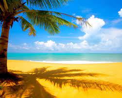 In this time of the year, days become warm, hot and really long, while nights in this season are the shortest. Summer Season Widescreen Wallpaper Beach Wallpaper Better