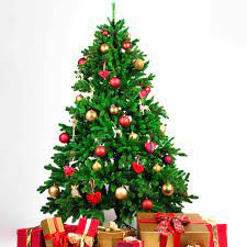 Enjoy free shipping on most stuff, even big stuff. The 7 Best Places To Buy A Christmas Tree In 2021