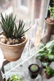 diy floating window shelves  design*sponge