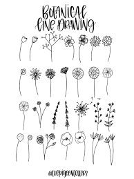 In botanical illustration step by step. Botanical Line Drawing Skillshare Com Flower Drawing Hand Lettering Botanical Line Drawing