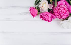 See pink flowers background stock video clips. Pink And White Flower Wallpapers Top Free Pink And White Flower Backgrounds Wallpaperaccess