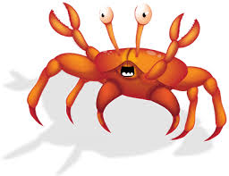 Image result for crab