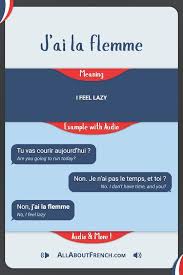 J Ai La Flemme Meaning Example In A Sentence