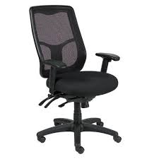 Eurotech Apollo Ergonomic Mesh Back Office Chair By Raynor Ergonomic Chair Office Chair Ergonomic Office Chair