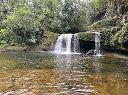 Check spelling or type a new query. Cascada Del Fin Del Mundo Mocoa Putumayo Places Picked By Brani