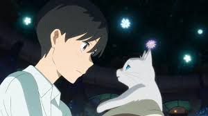 Amor De Gata In 2020 Anime Films Anime Wallpaper Anime