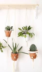 Diy Jardin Suspendu Rassembler Plusieurs Suspensions Pour Plantes En Un Meme Endroit Grace A Un Decoration Plantes Interieur Decoration Jardin Jardin Suspendu