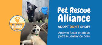 Последние твиты от pet rescue alliance (@petrescueall). Pet Rescue Alliance Home Facebook